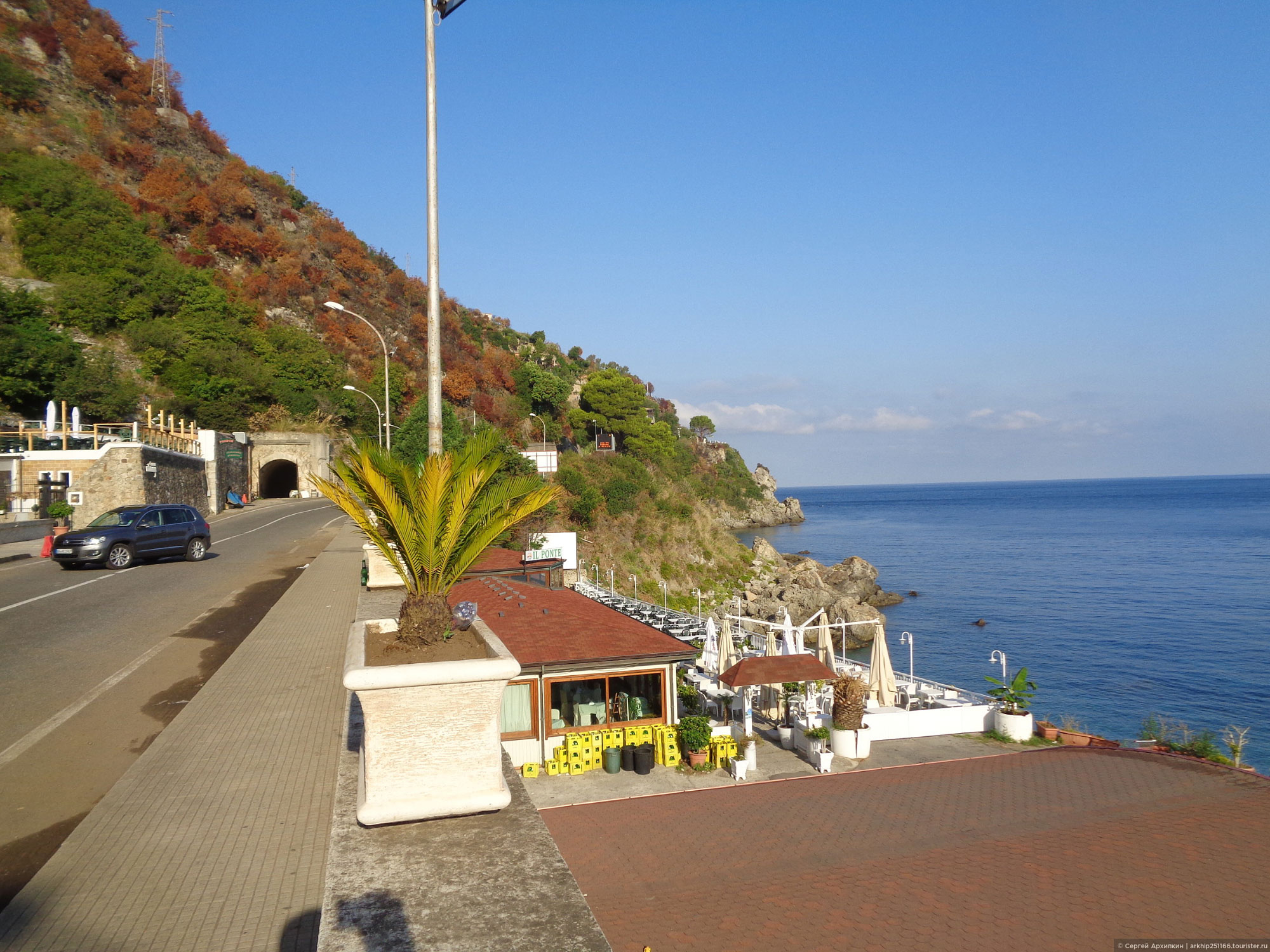 Scilla